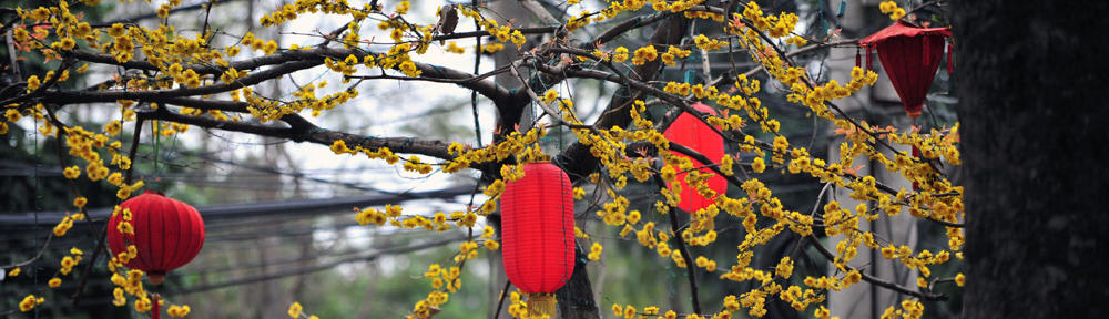 广州百花丛登录入口、广州桑拿